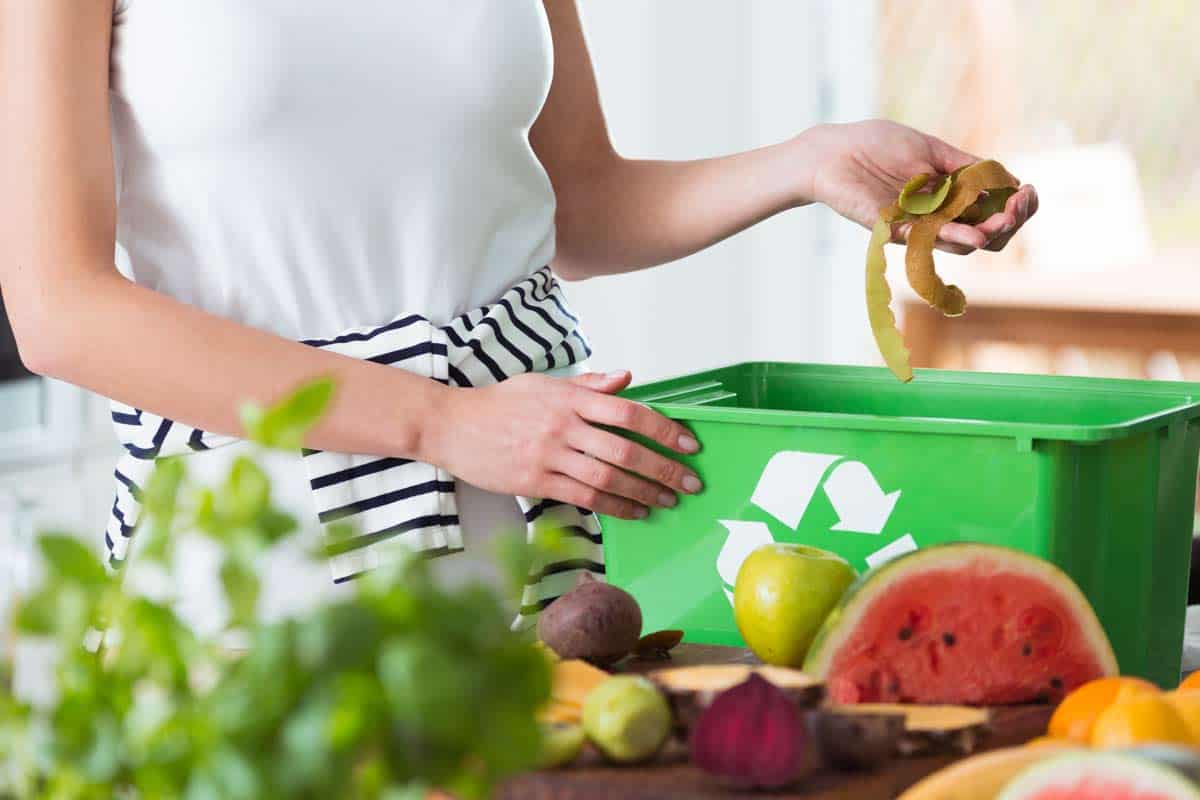 Qué es Basura orgánica Características Importancia Ejemplos