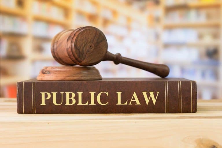 Qué es Derecho Público Ramas Características Ejemplos