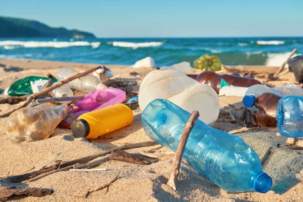 basura y ecosistema